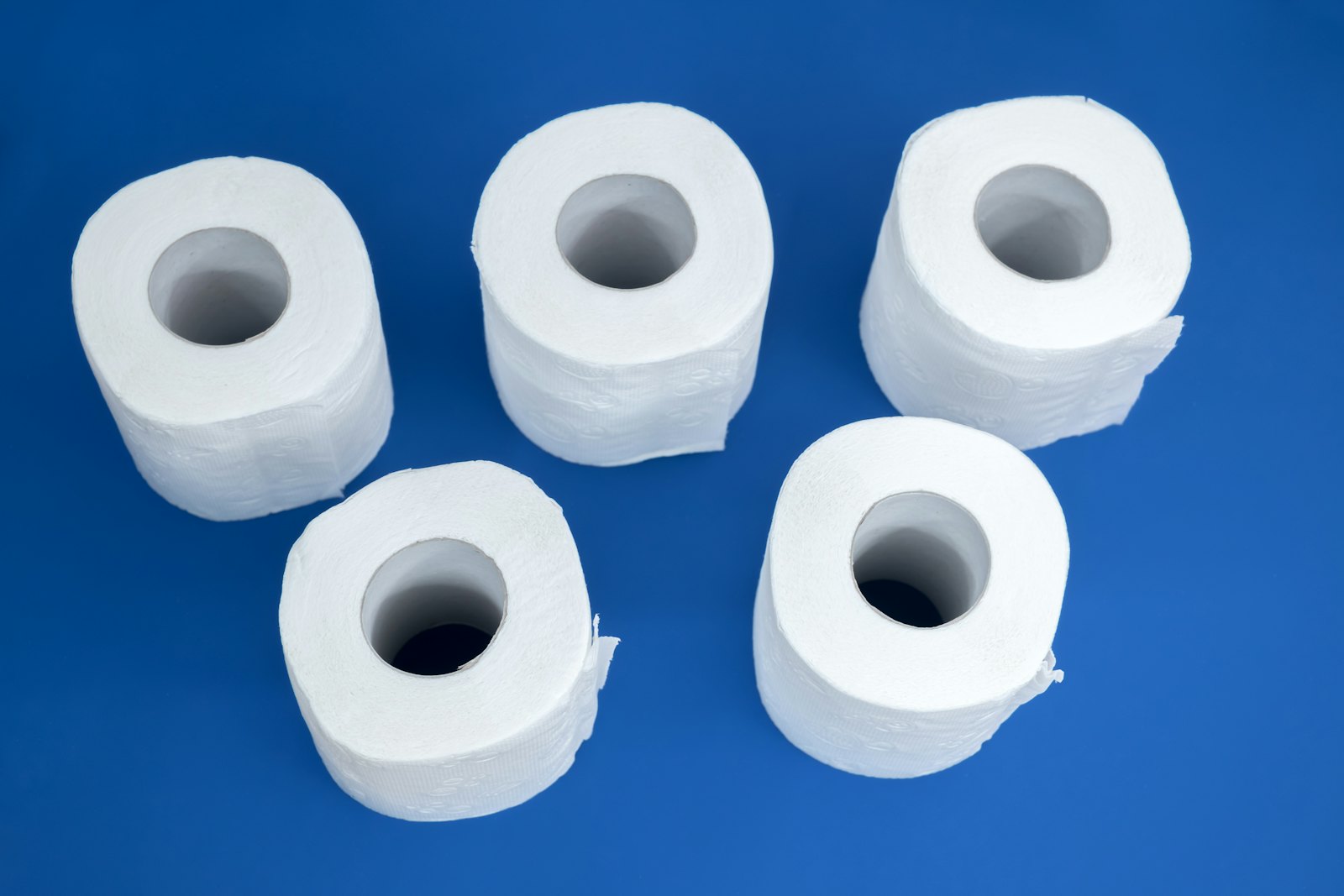 Tissue rolls on a blue background